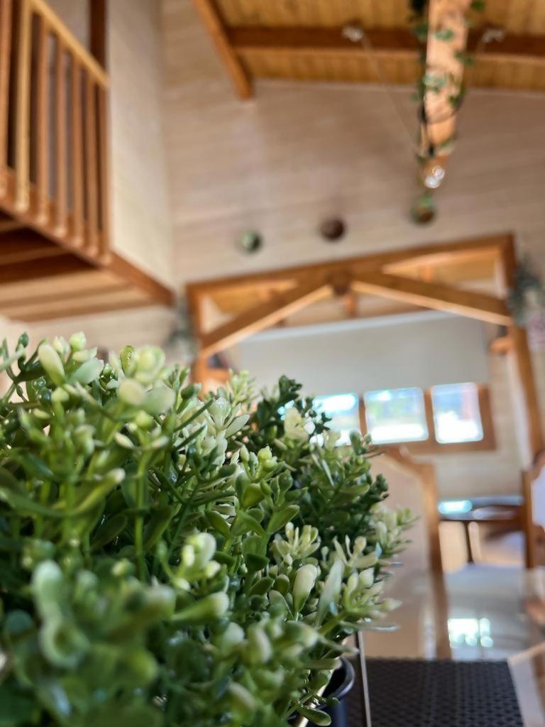 Luxury Rural Cuenca Villas 客房 照片